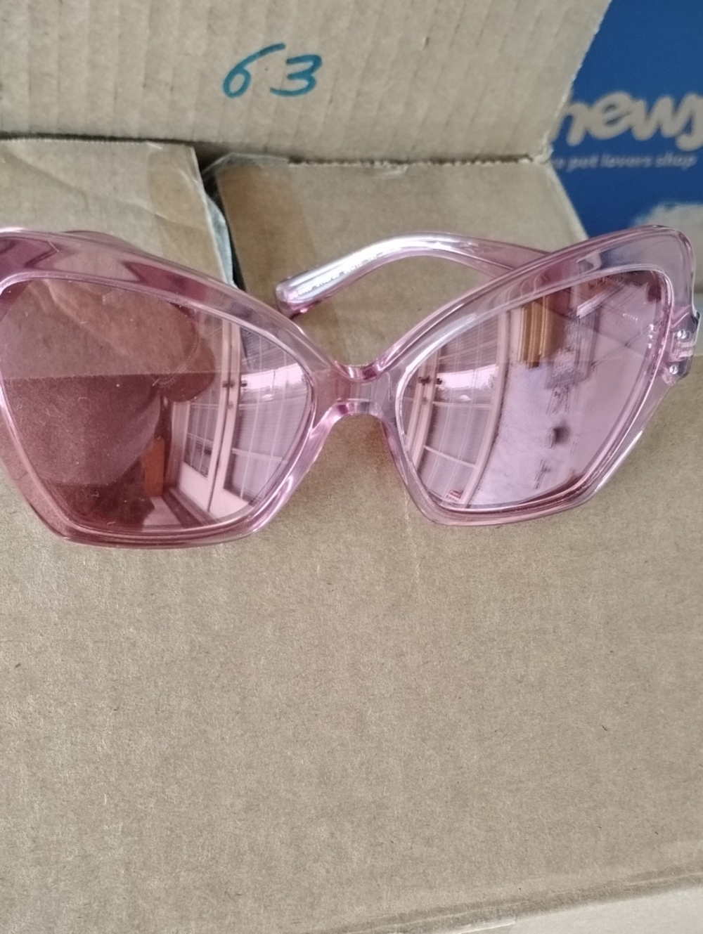 Pink Cat-Eye Sunglasses for Women - Clear Pink Frame